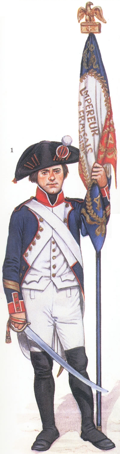 Sergent major porte aigle du 4e de Ligne 1805