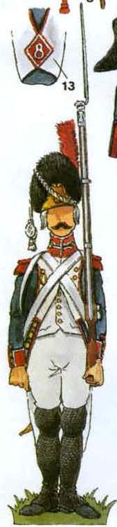 Grenadier 33e de Ligne 1803