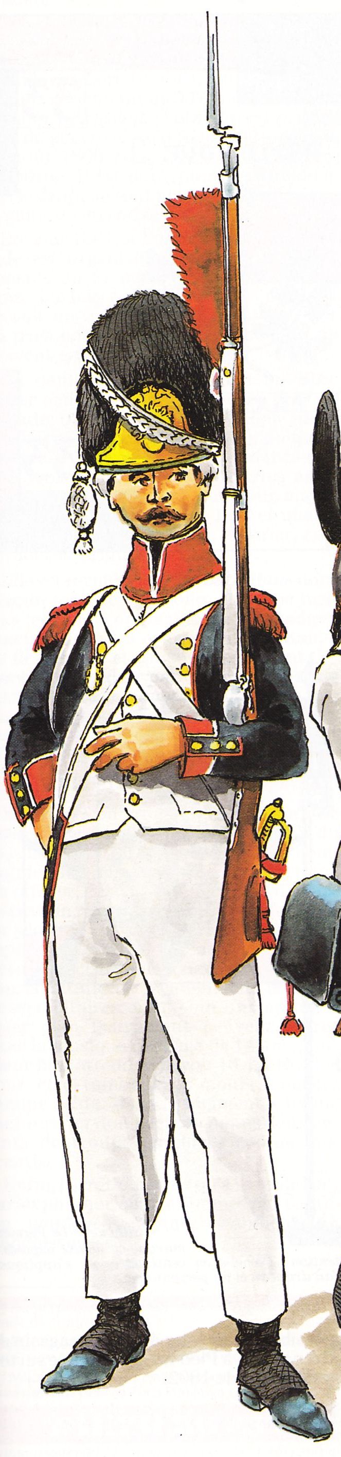 Grenadier 33e de Ligne 1800