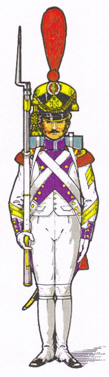 Sergent major de Grenadiers 33e de Ligne 1806-1807