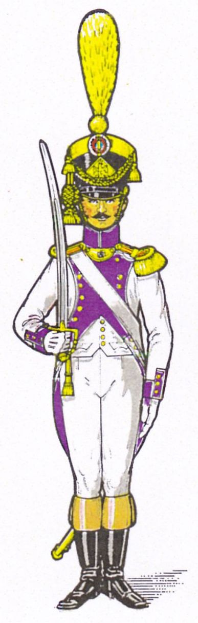 Officier de Voltigeurs 33e de Ligne, 1806-1807