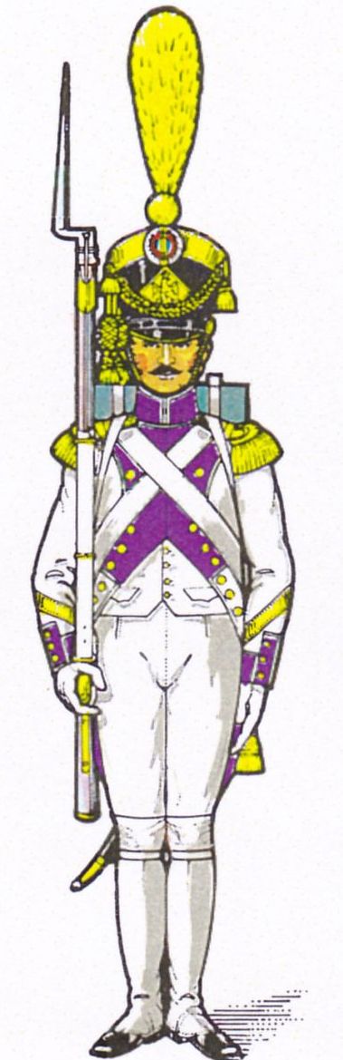 Sergent major de Voltigeurs 33e de Ligne 1806-1807