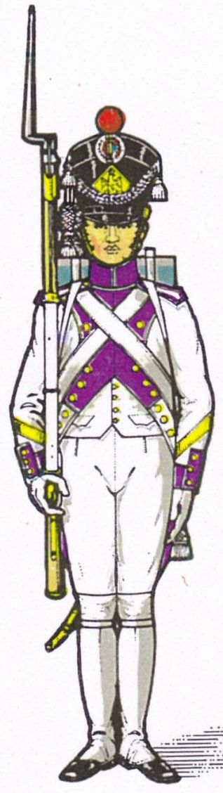 Sergent de Fusiliers 1806-1807 33e de Ligne