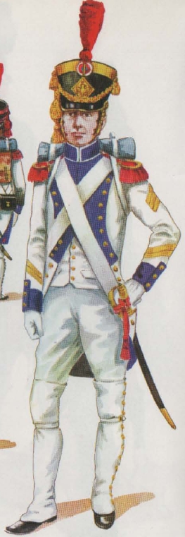 Sergent major de Grenadiers 33e de Ligne 1806