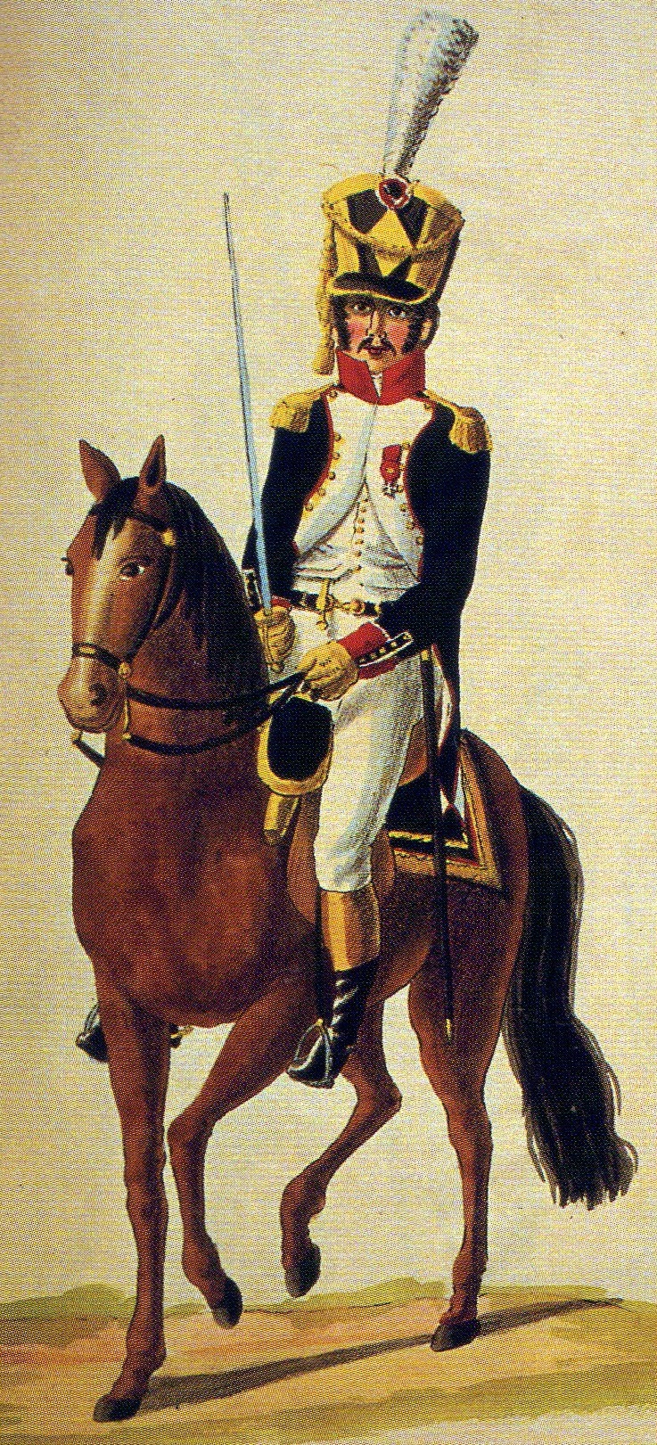 Colonel du 93e de Ligne  Hambourg vers 1807-1808