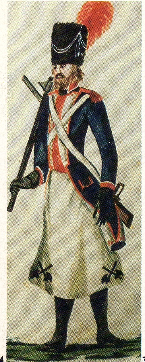 Sapeur de la 105e Demi-brigade, 1800-1801