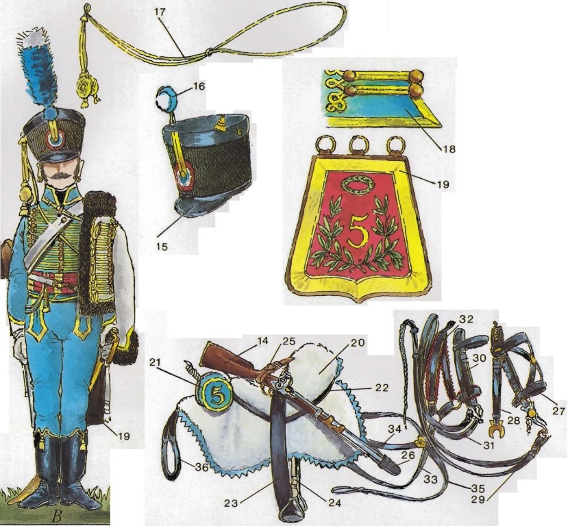 Hussard, 5e Hussards, 1803-1804