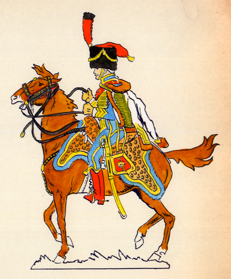 Officier, cie d'lite, 5e Hussards 1808