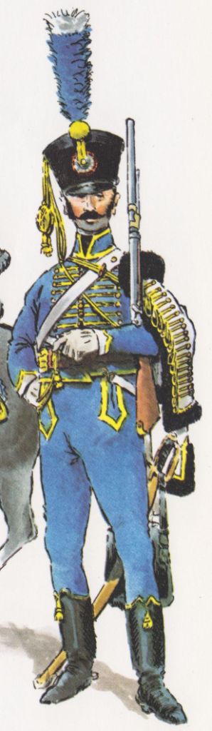 Hussard, 5e Hussards, 1803-1804