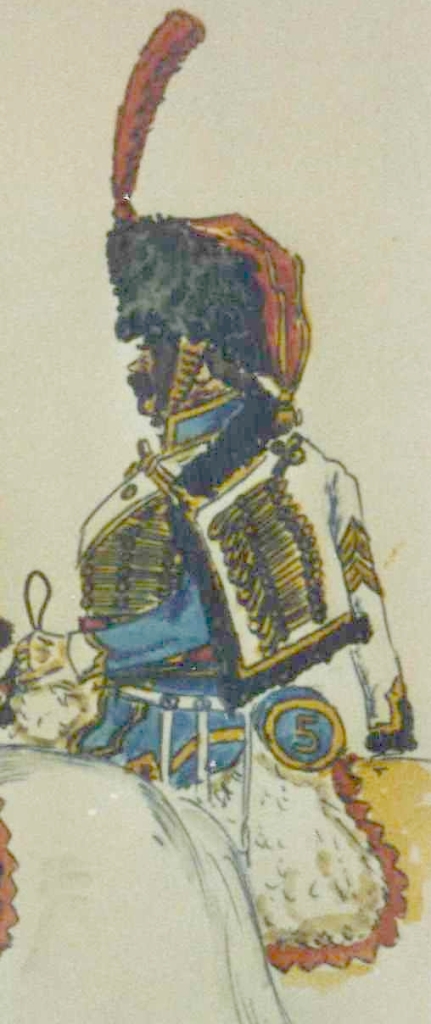 Hussard Compagnie d'lite  5e Hussards, 1804