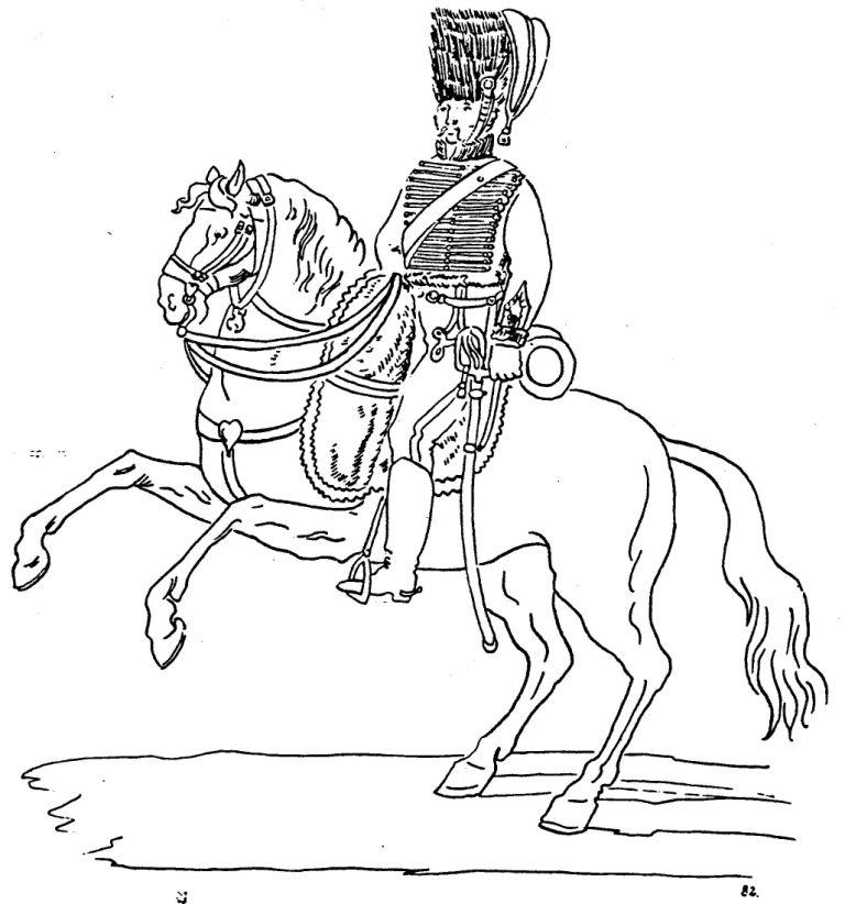 Hussard, Compagnie d'lite, 5e Hussards, 1806-1808