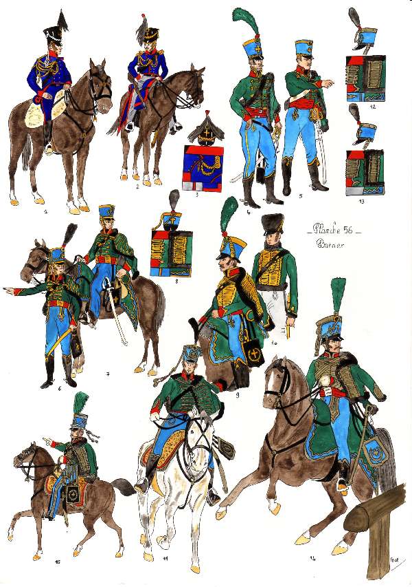 Corps auxiliaires du Royaume de Saxe, 1810-1813, planche 56